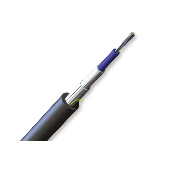 FREEDM Gel-Free In/Out Cable 12 F OS2