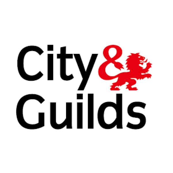 City & Guilds 3668 courses