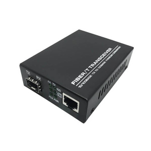 1 x 100Base-Fx SFP media converter